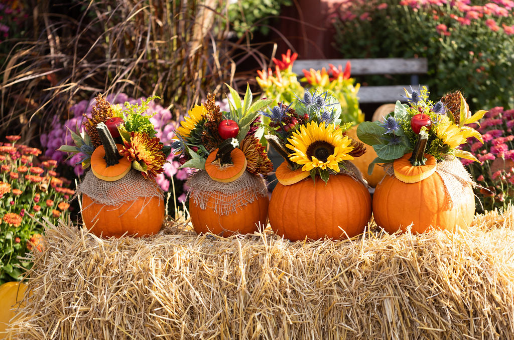 Pumpkin Centrepiece