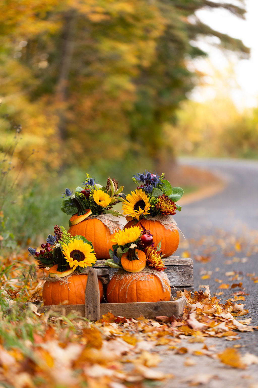 Pumpkin Centrepiece