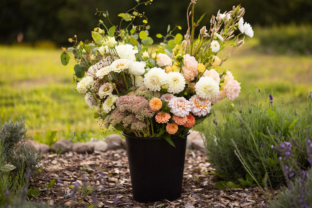 Bulk DIY Bucket of Blooms: Custom Colour Palette