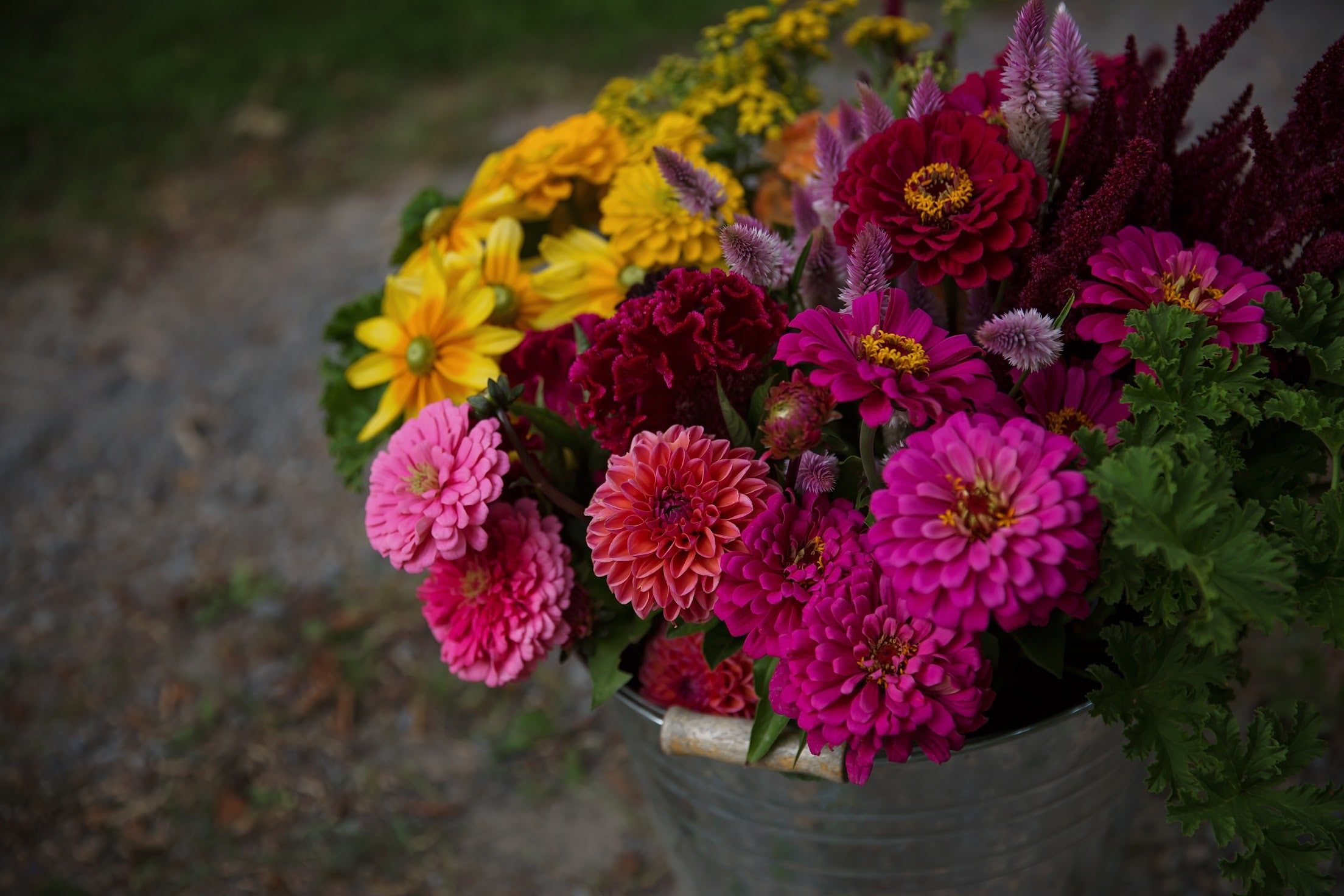 Bulk DIY Bucket of Blooms: Growers Choice Colour Palette