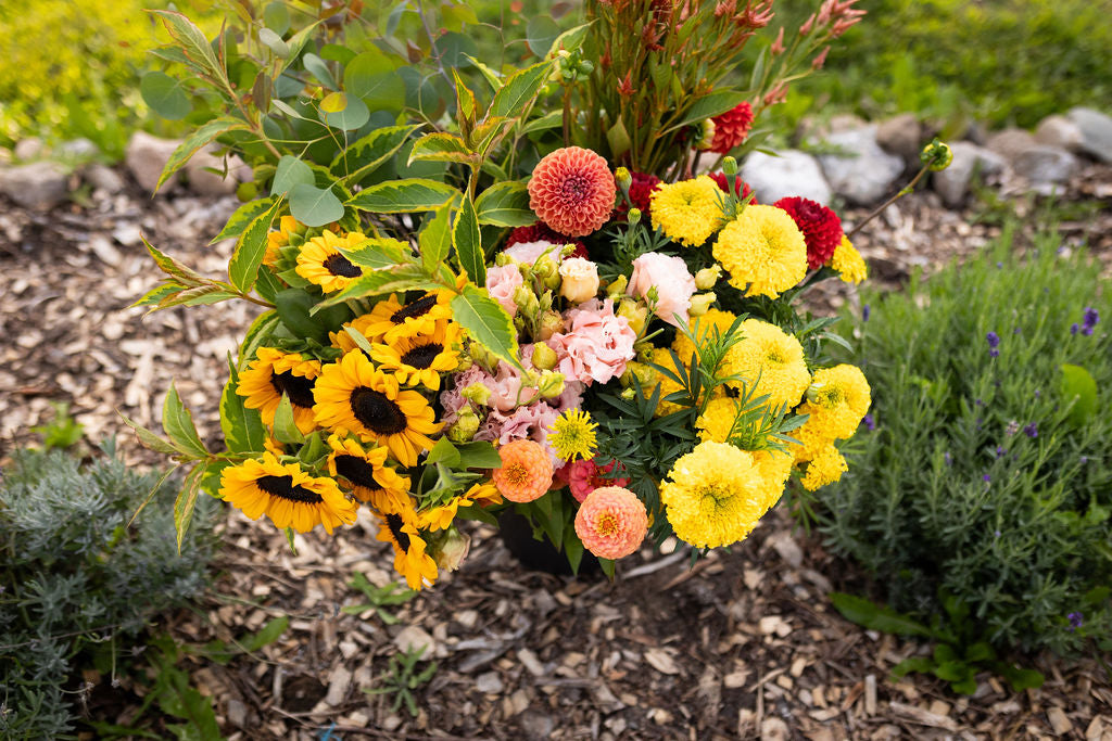 Bulk DIY Bucket of Blooms: Growers Choice Colour Palette