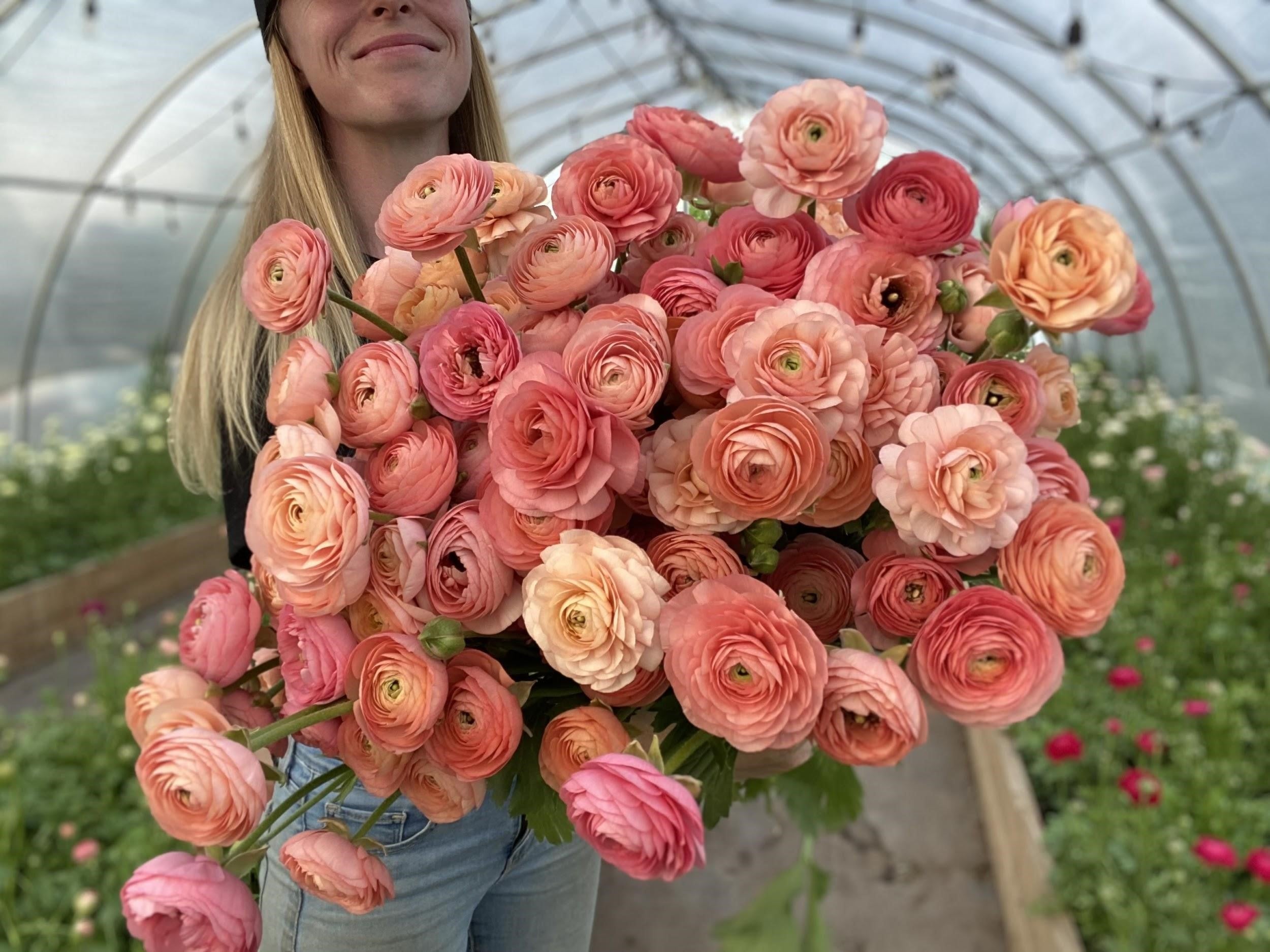 Italian Ranunculus Salmone Corms