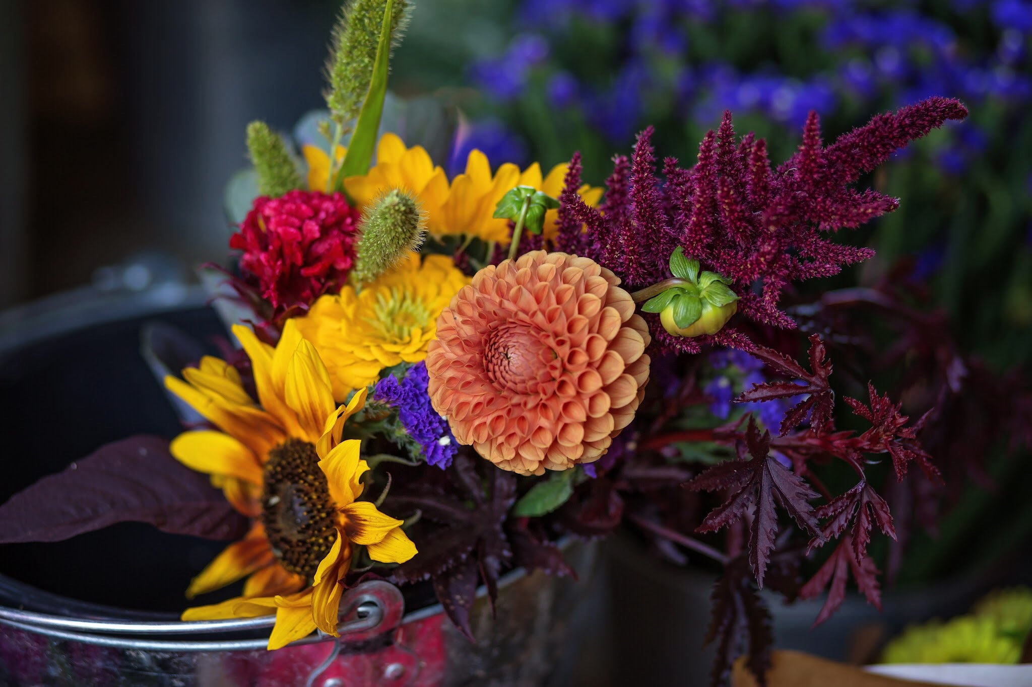 Close-up of a bouquet featuring sunflowers, zinnias, a dahlia, burgundy amaranth and greenery.