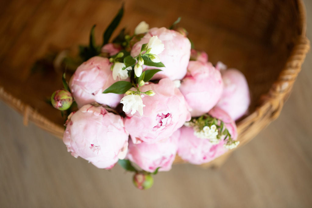 A bouquet of soft pink peonies with mock orange for greenery.