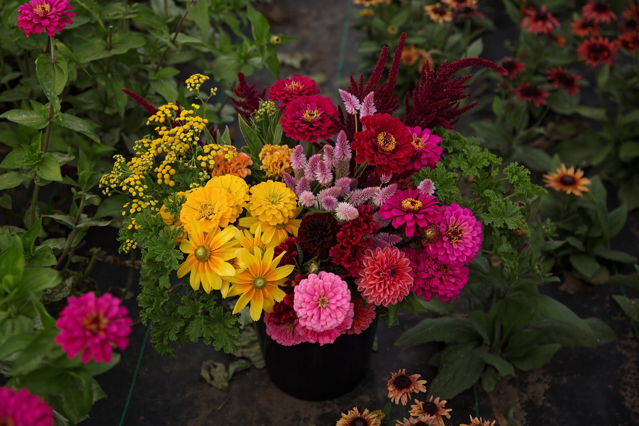 A vibrant bouquet of assorted fresh flowers including yellow, pink, and red flowers.