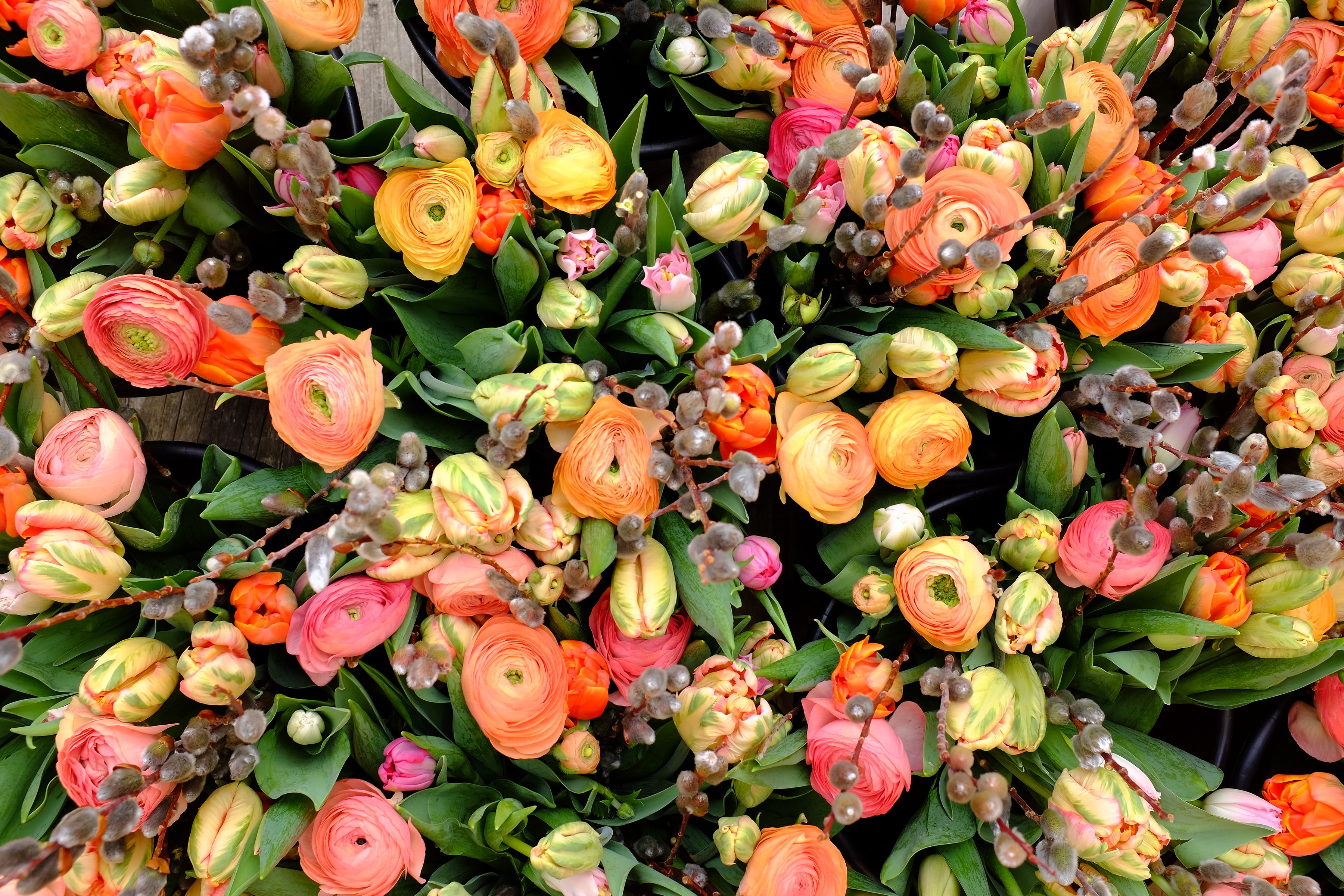 Close-up of bouquets in oranges and pinks with ranunculus, tulips and pussy willow stems.