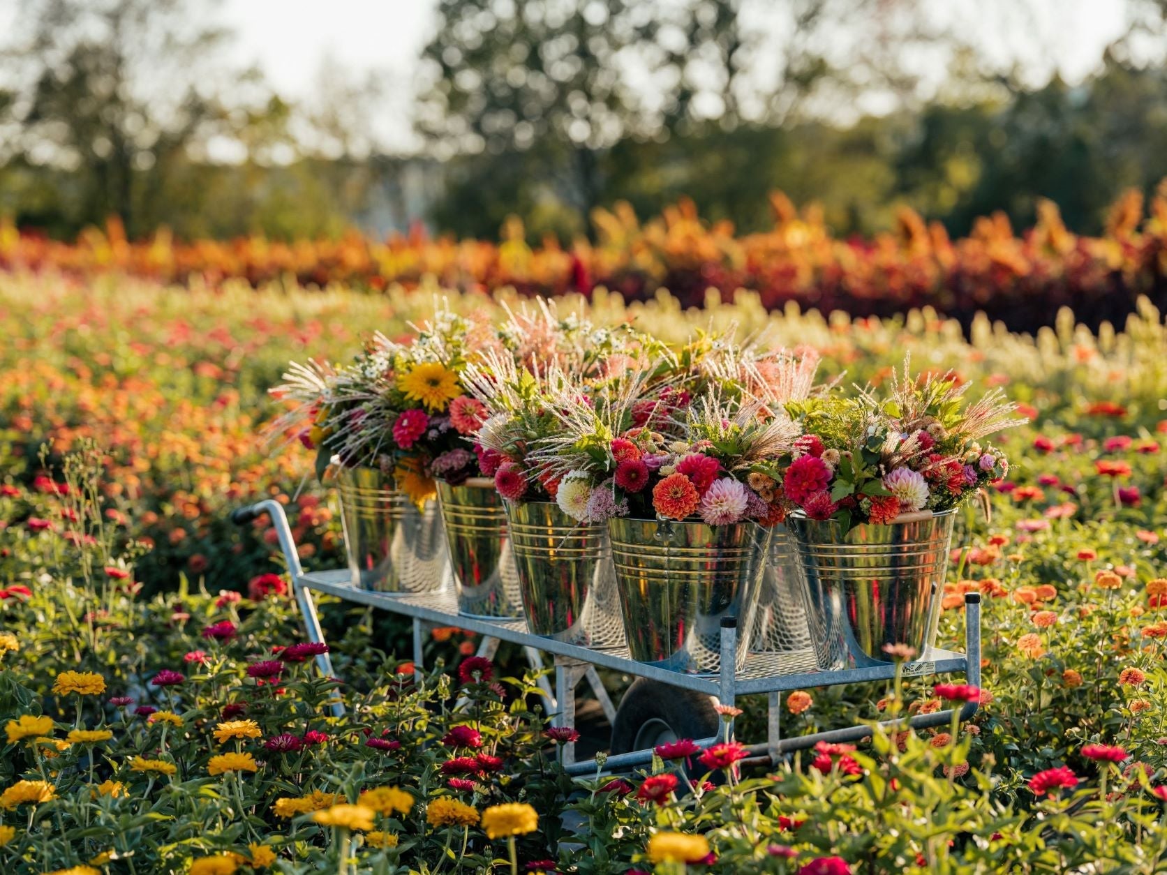 A hand-tied bouquet of fresh sunflowers and other seasonal flowers, arranged and placed on a table in a field setting, wrapped in kraft paper.