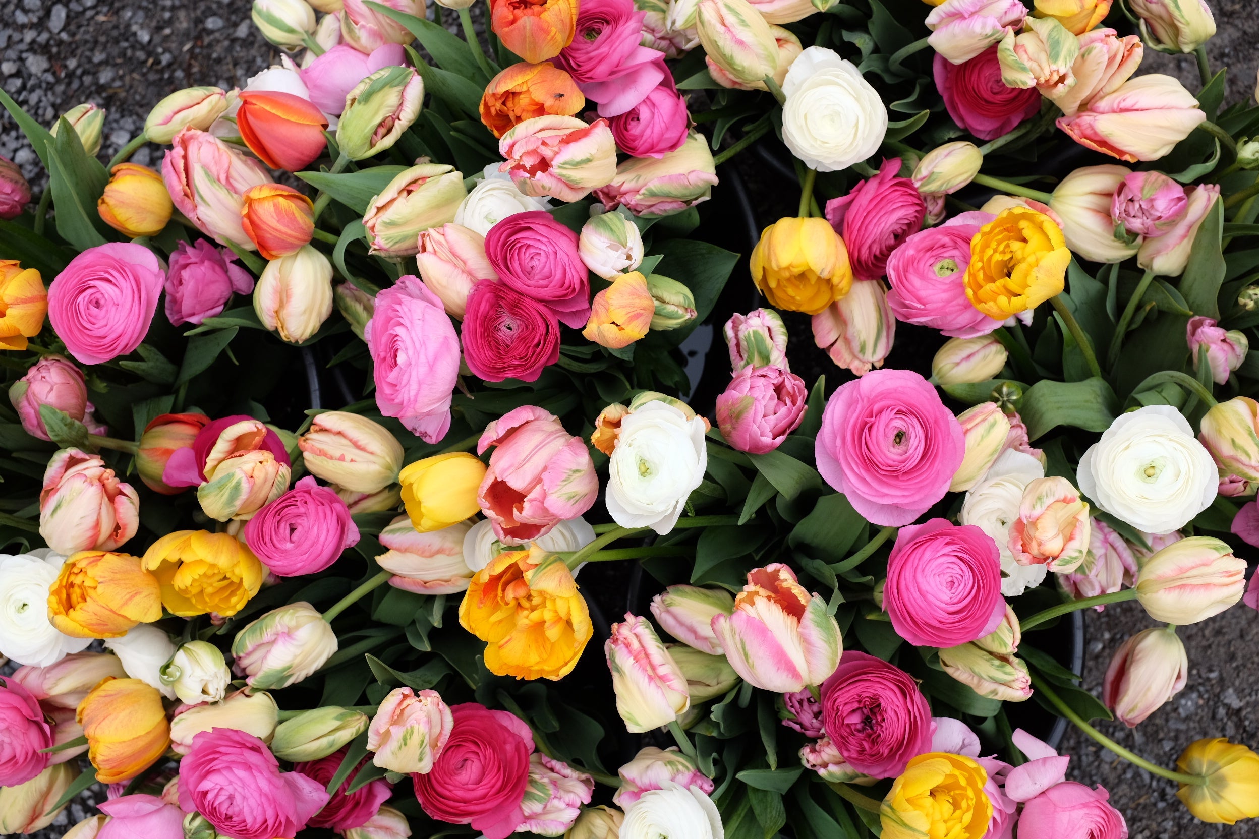 A vibrant hand-tied bouquet featuring a variety of fresh flowers including tulips and ranunculus with pink, yellow, and white petals.