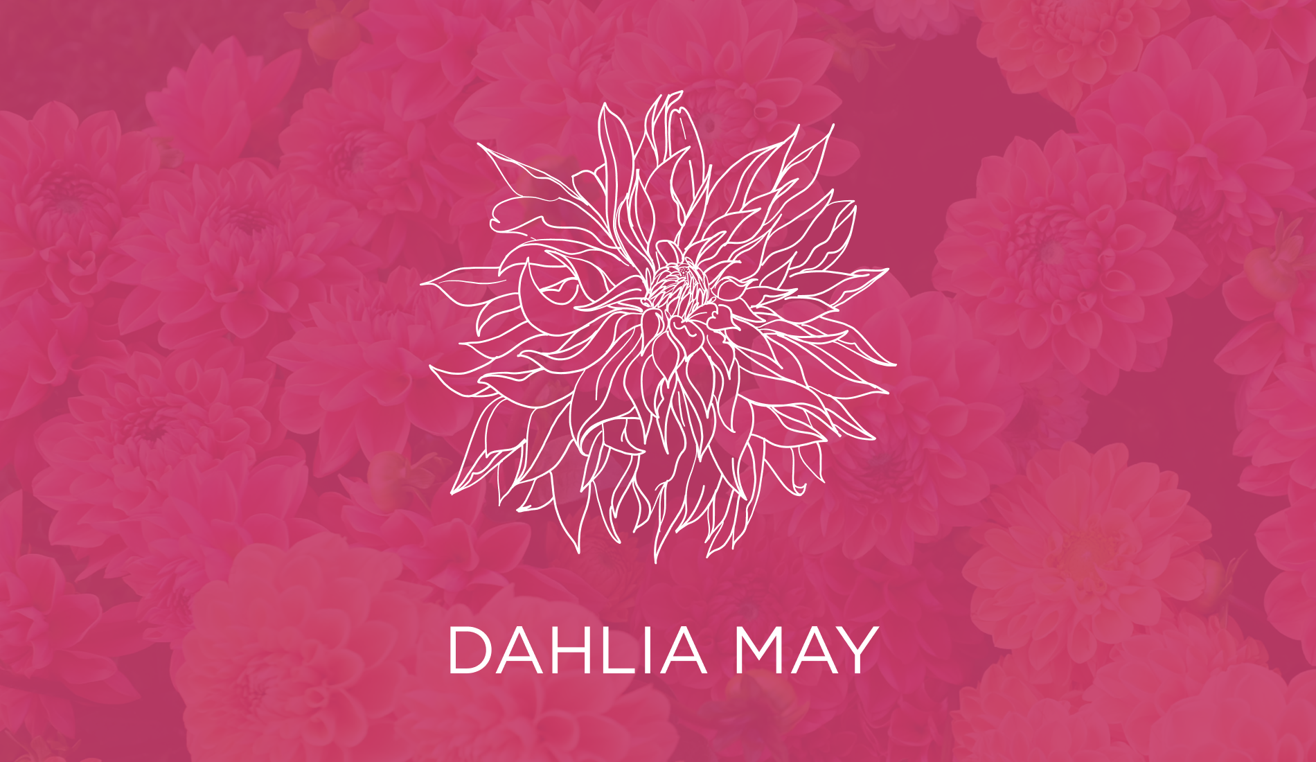 Picture of Dahlia May gift card