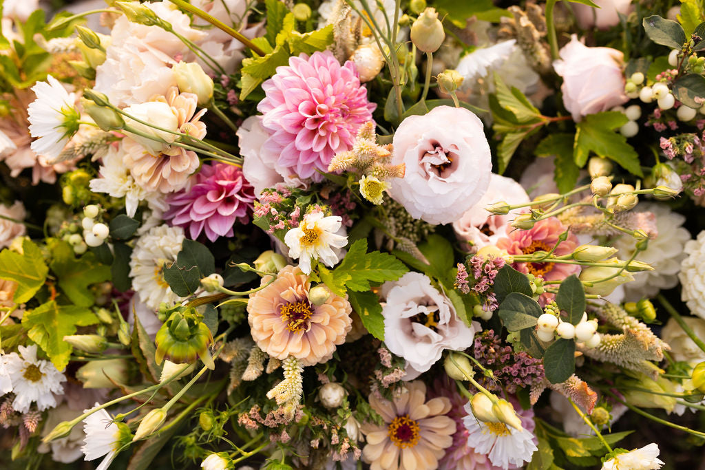 Fresh Flowers for Pickup and Delivery