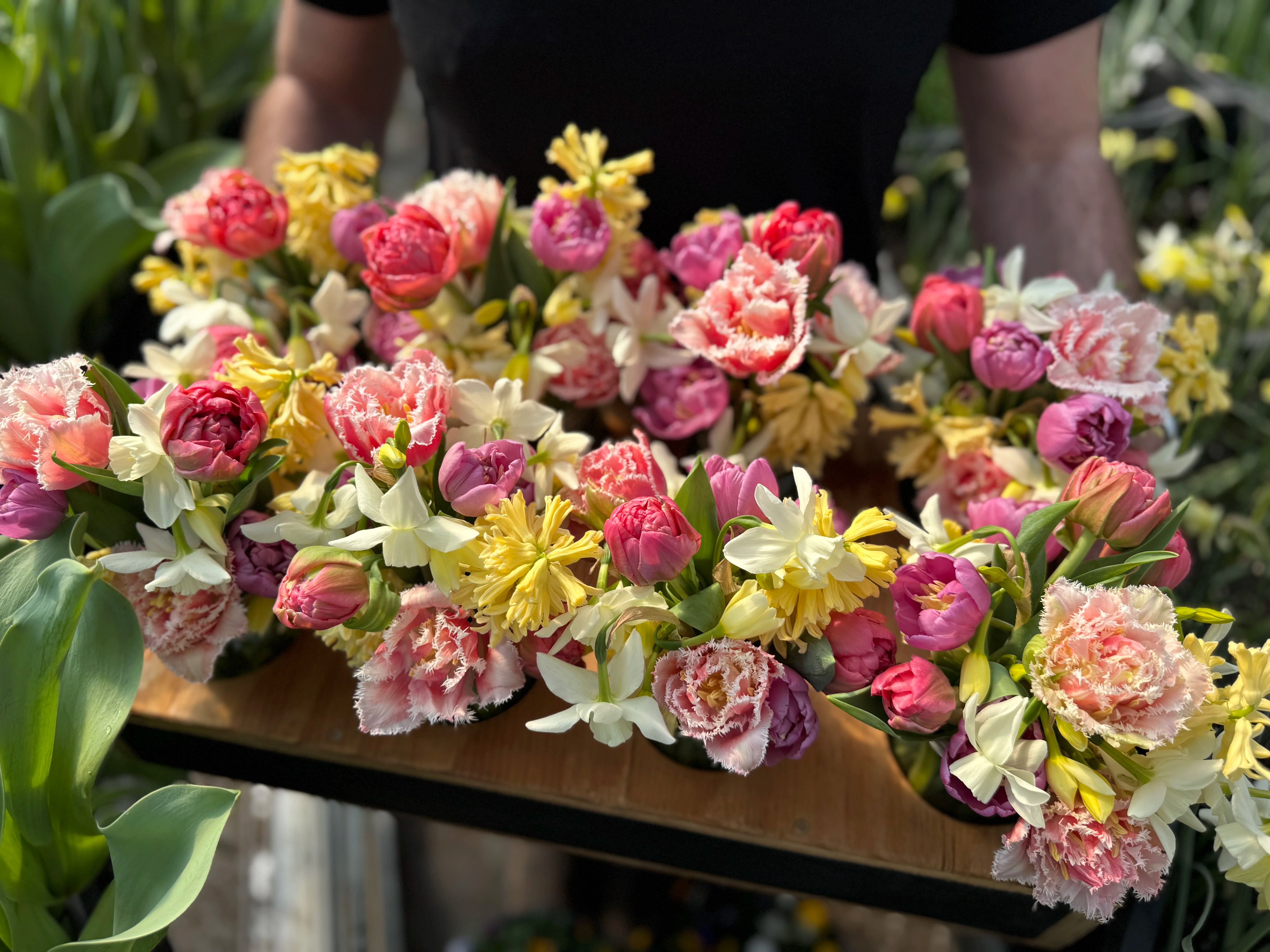 Fresh Flowers for Pickup and Delivery