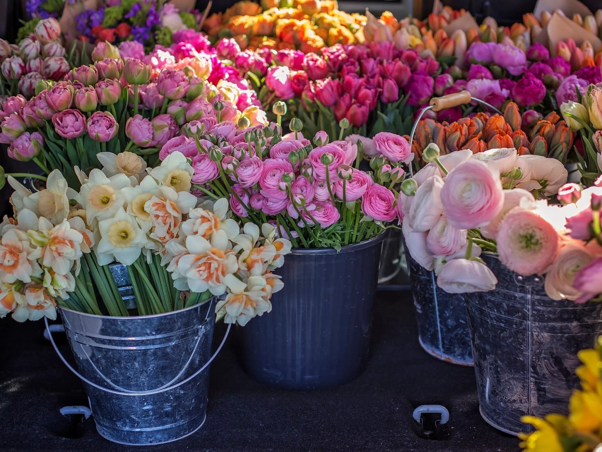 Flower Subscriptions
