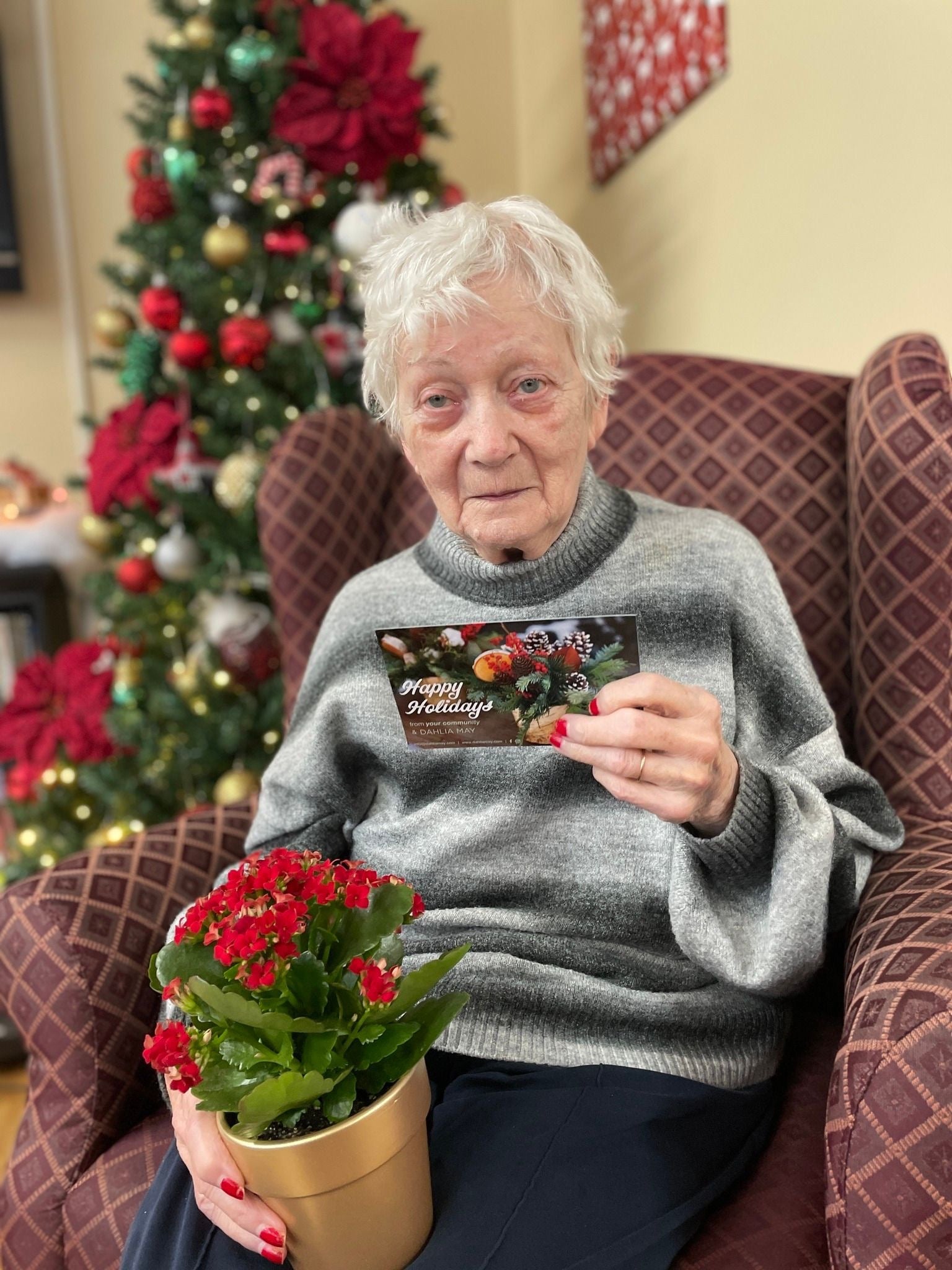 Sponsor a plant for a resident in Long Term Care: Our Community Christmas Gifting Program