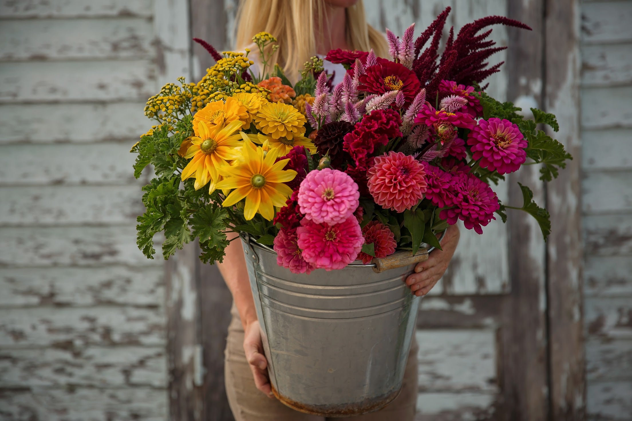 Bulk DIY Bucket of Blooms: Growers Choice Colour Palette