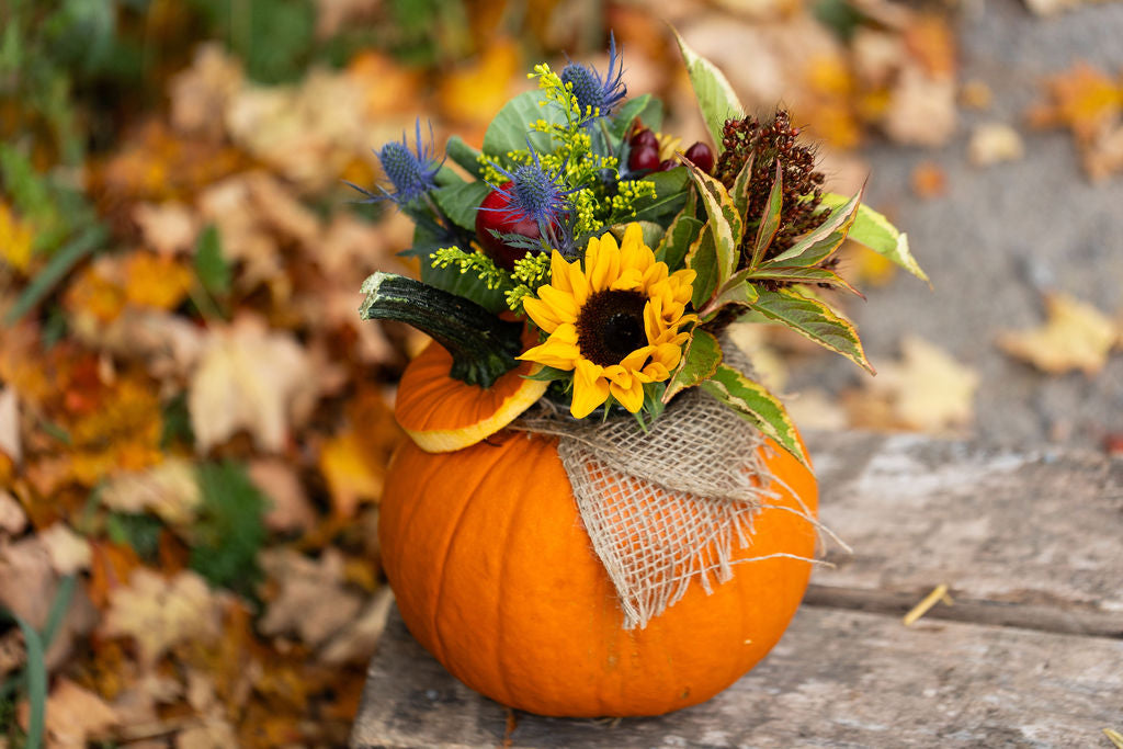 Pumpkin Centrepiece
