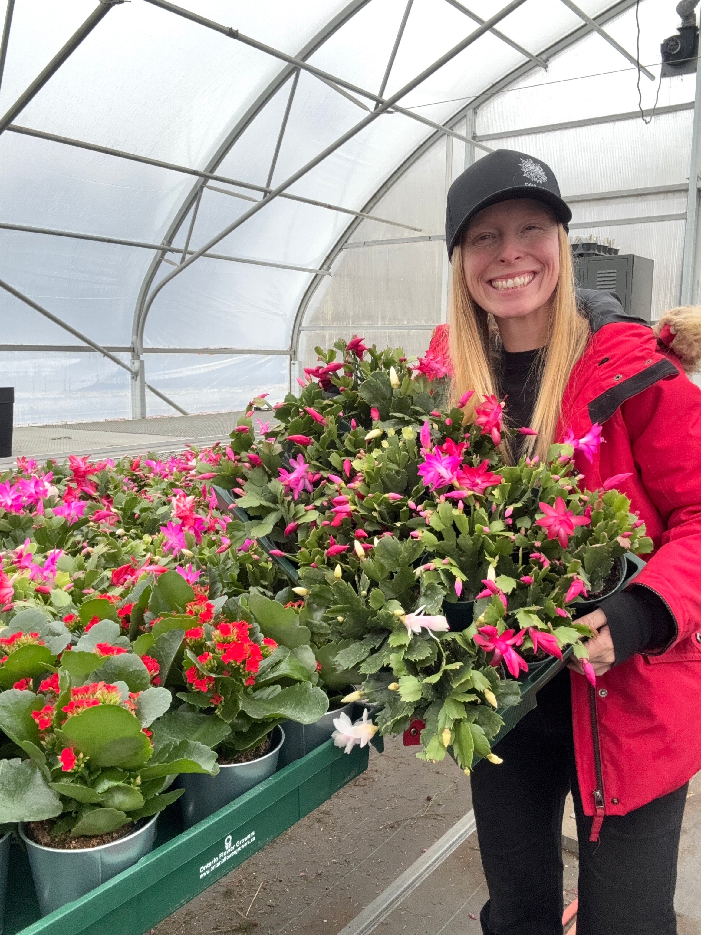 Sponsor a plant for a resident in Long Term Care: Our Community Christmas Gifting Program