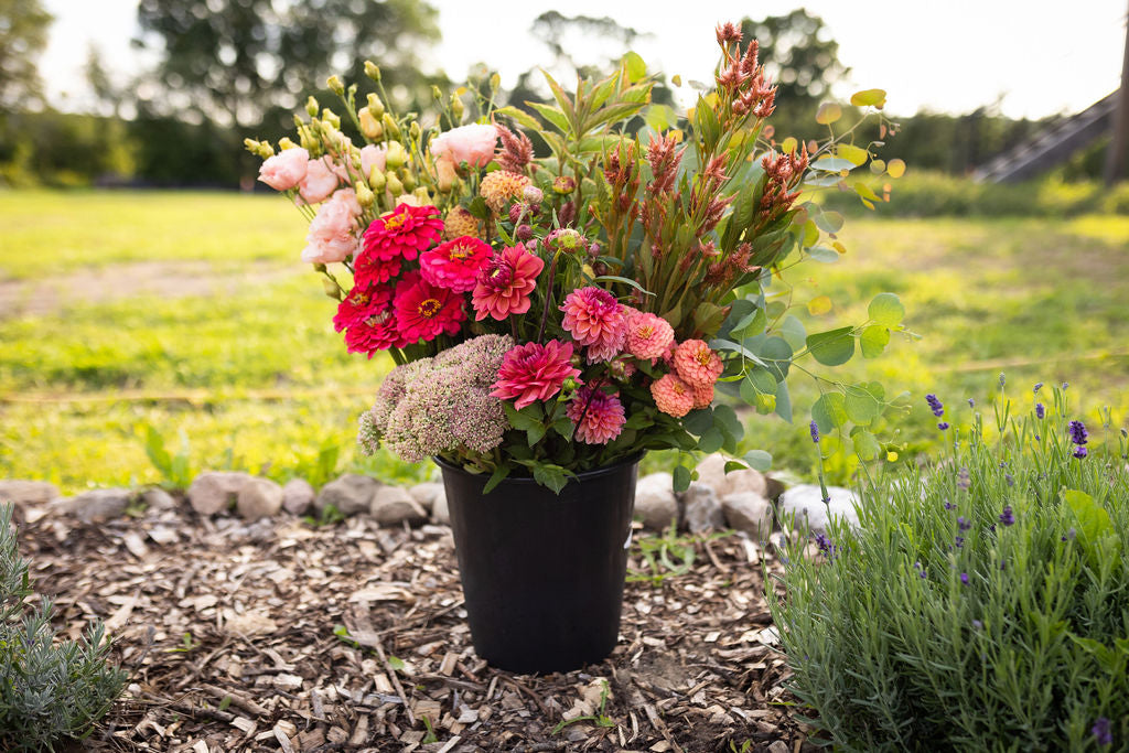 Bulk DIY Bucket of Blooms: Growers Choice Colour Palette