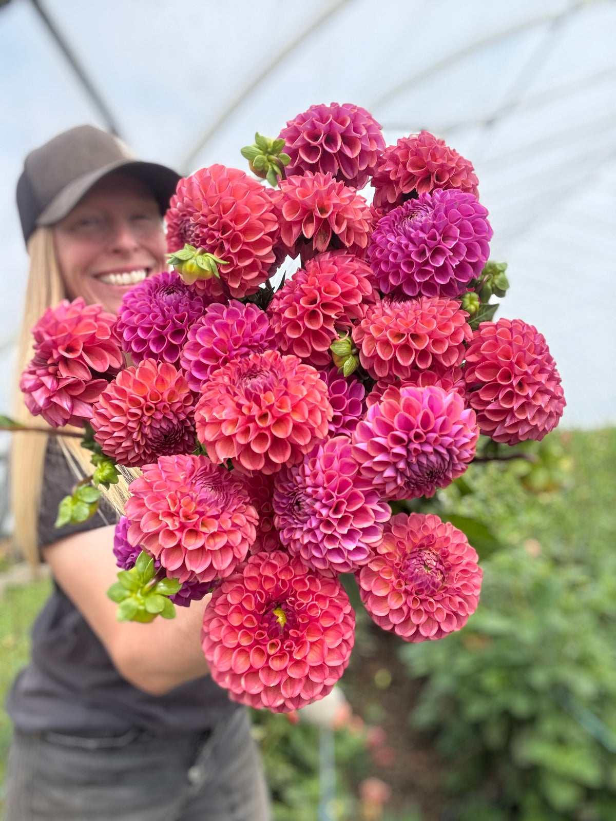 Caitlin's Joy Dahlia Tuber - *Not Sold Out* SALE COMING IN MARCH OF 2027