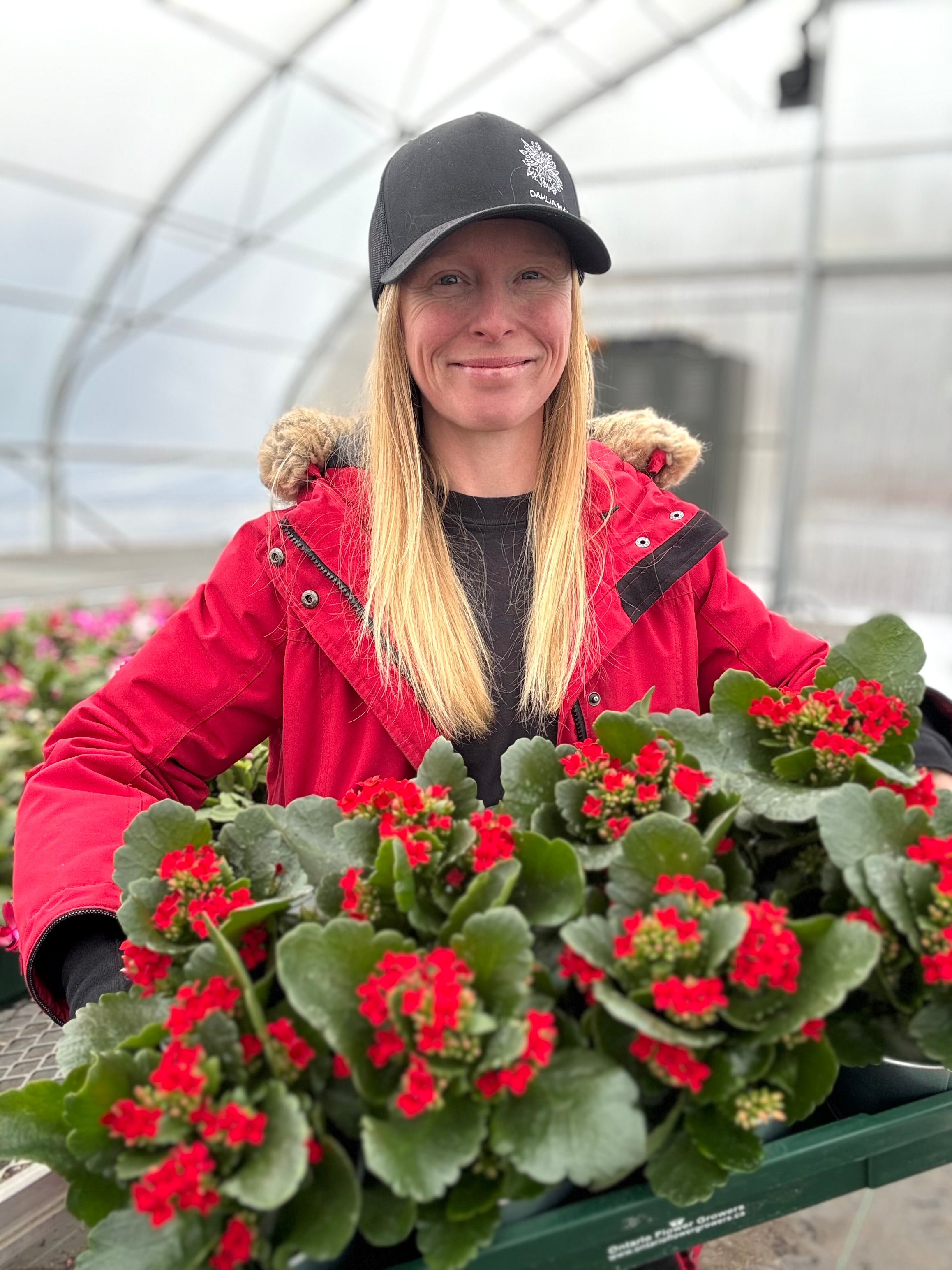 Sponsor a plant for a resident in Long Term Care: Our Community Christmas Gifting Program