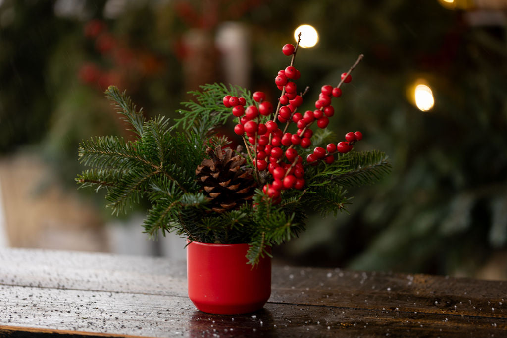 Holiday Cheer Arrangement