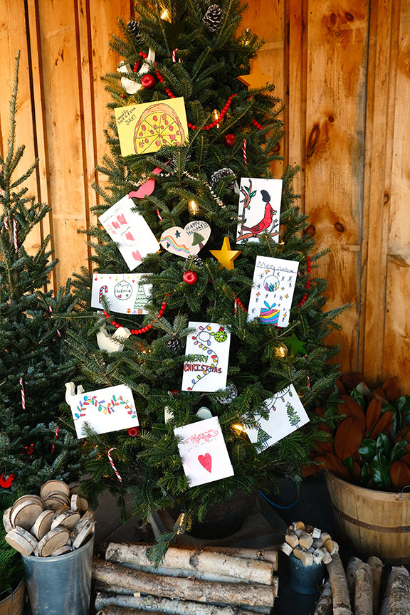 Sponsor a plant for a resident in Long Term Care: Our Community Christmas Gifting Program