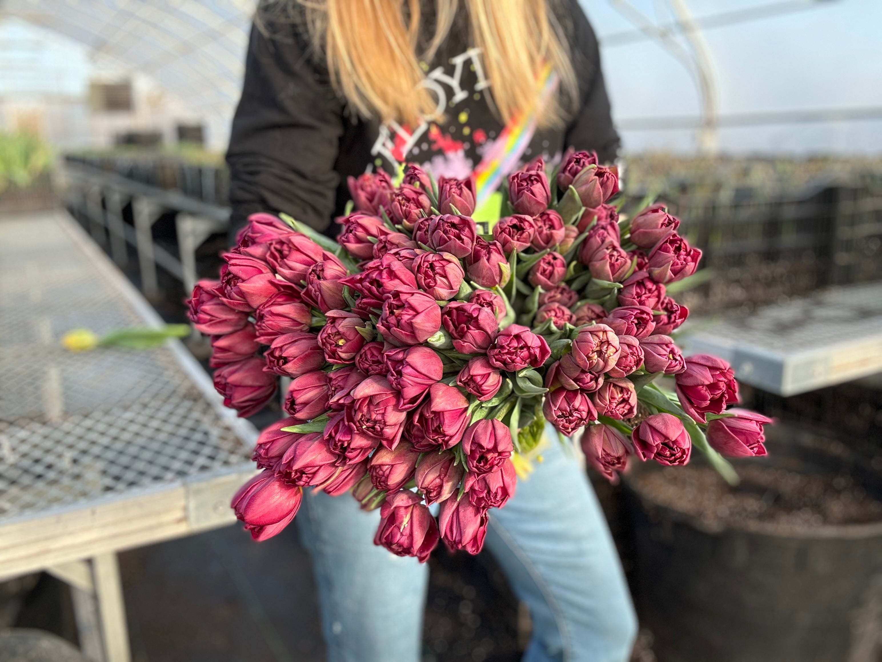 Alison Bradley Tulip Bulbs - COMING SEPTEMBER 7TH AT 5PM