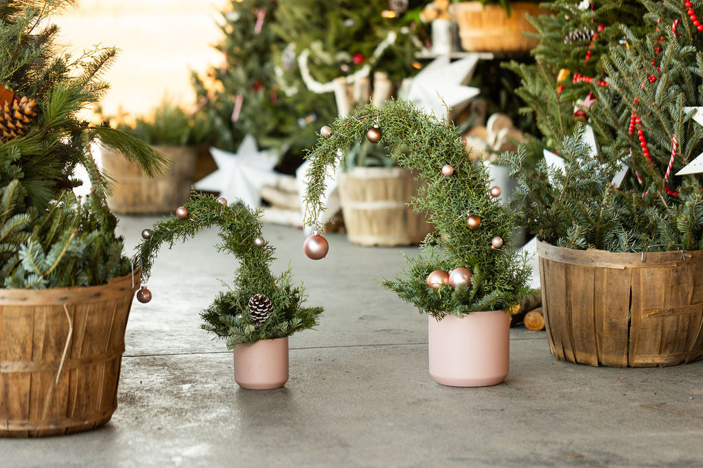 Make Your Own Grinch Tree, Adult + Child Workshop