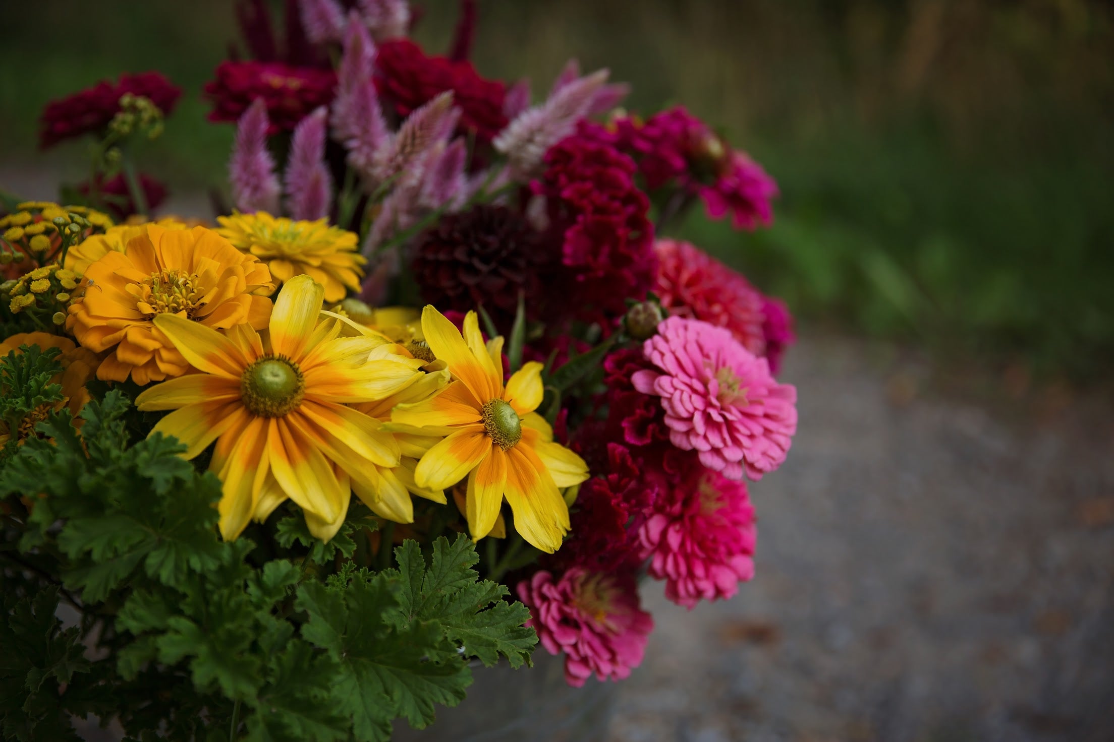 Bulk DIY Bucket of Blooms: Growers Choice Colour Palette