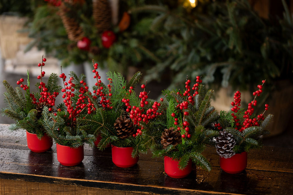 Holiday Cheer Arrangement