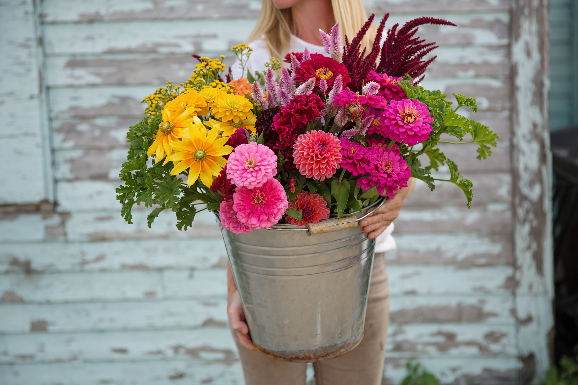 Bulk DIY Bucket of Blooms: Growers Choice Colour Palette