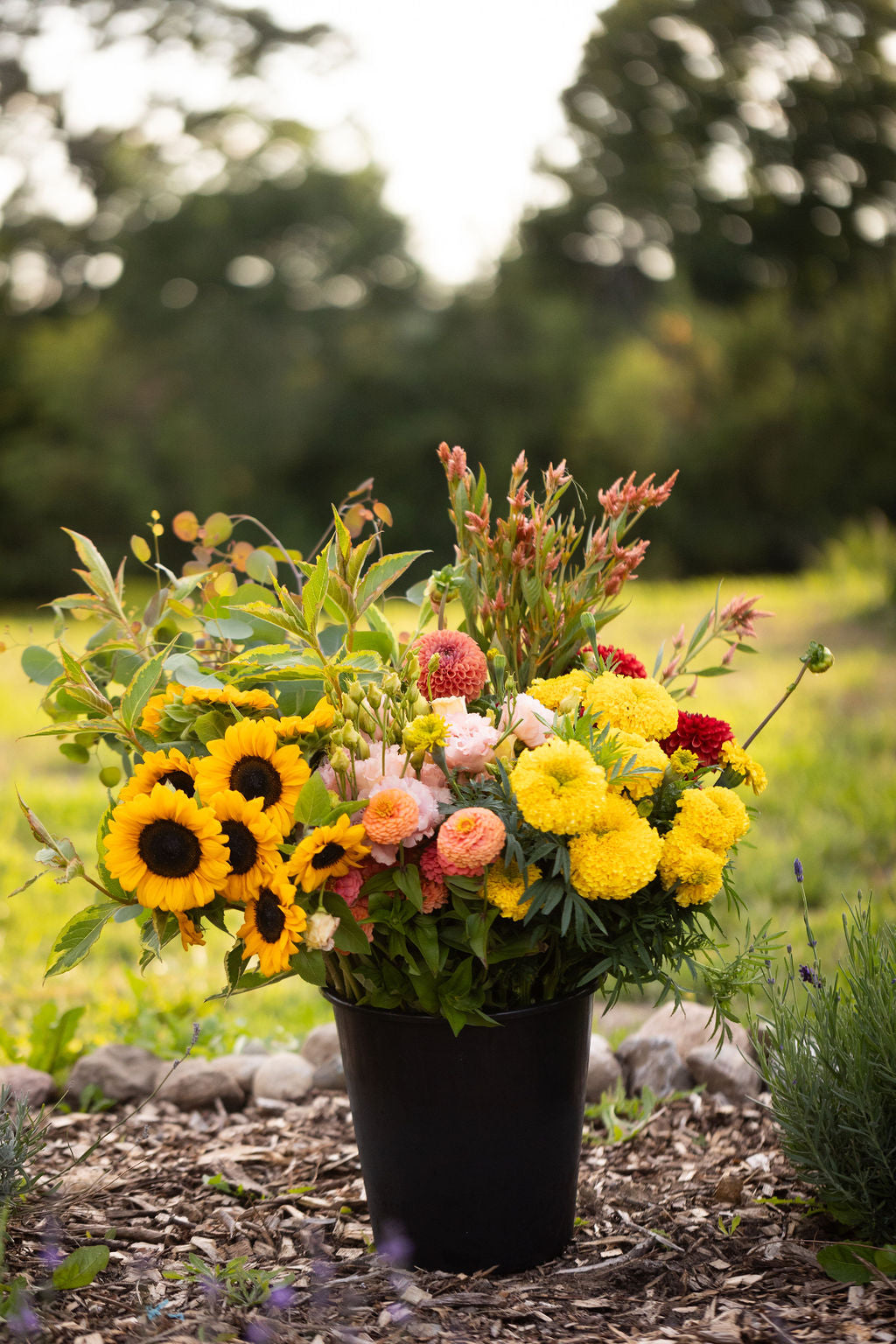 Bulk DIY Bucket of Blooms: Growers Choice Colour Palette