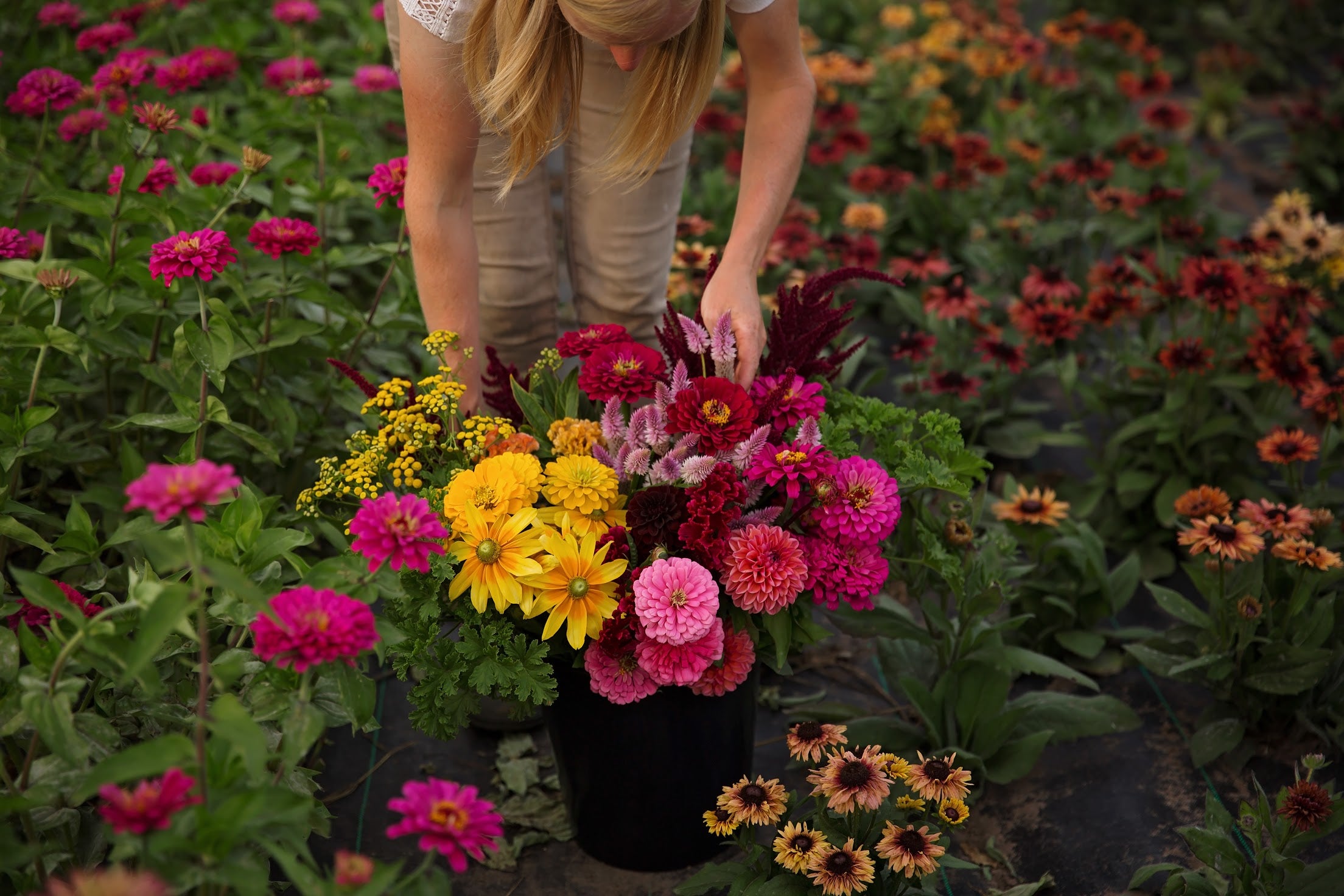 Bulk DIY Bucket of Blooms: Growers Choice Colour Palette