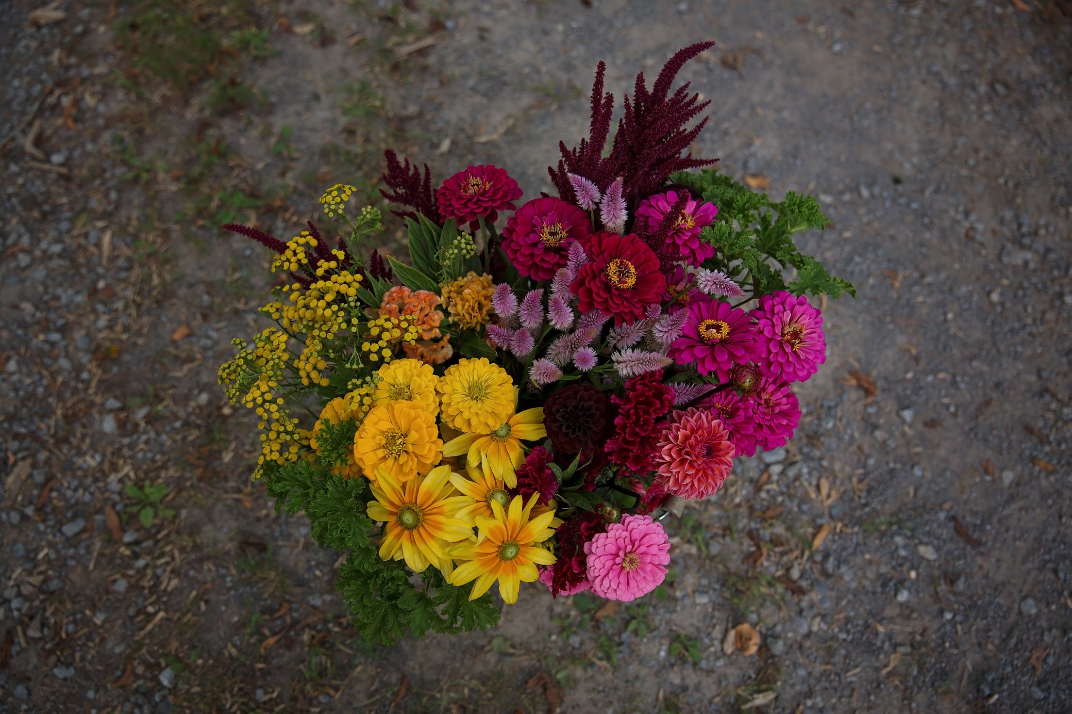 Bulk DIY Bucket of Blooms: Growers Choice Colour Palette