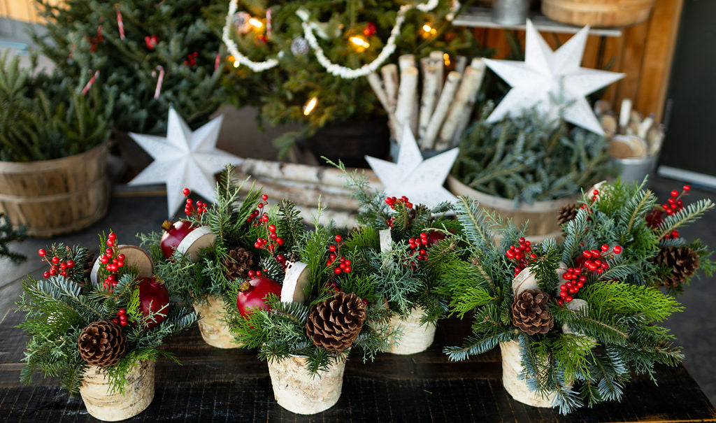 Small Holiday Arrangement