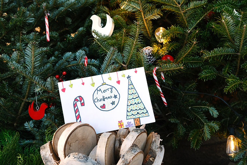 Sponsor a plant for a resident in Long Term Care: Our Community Christmas Gifting Program