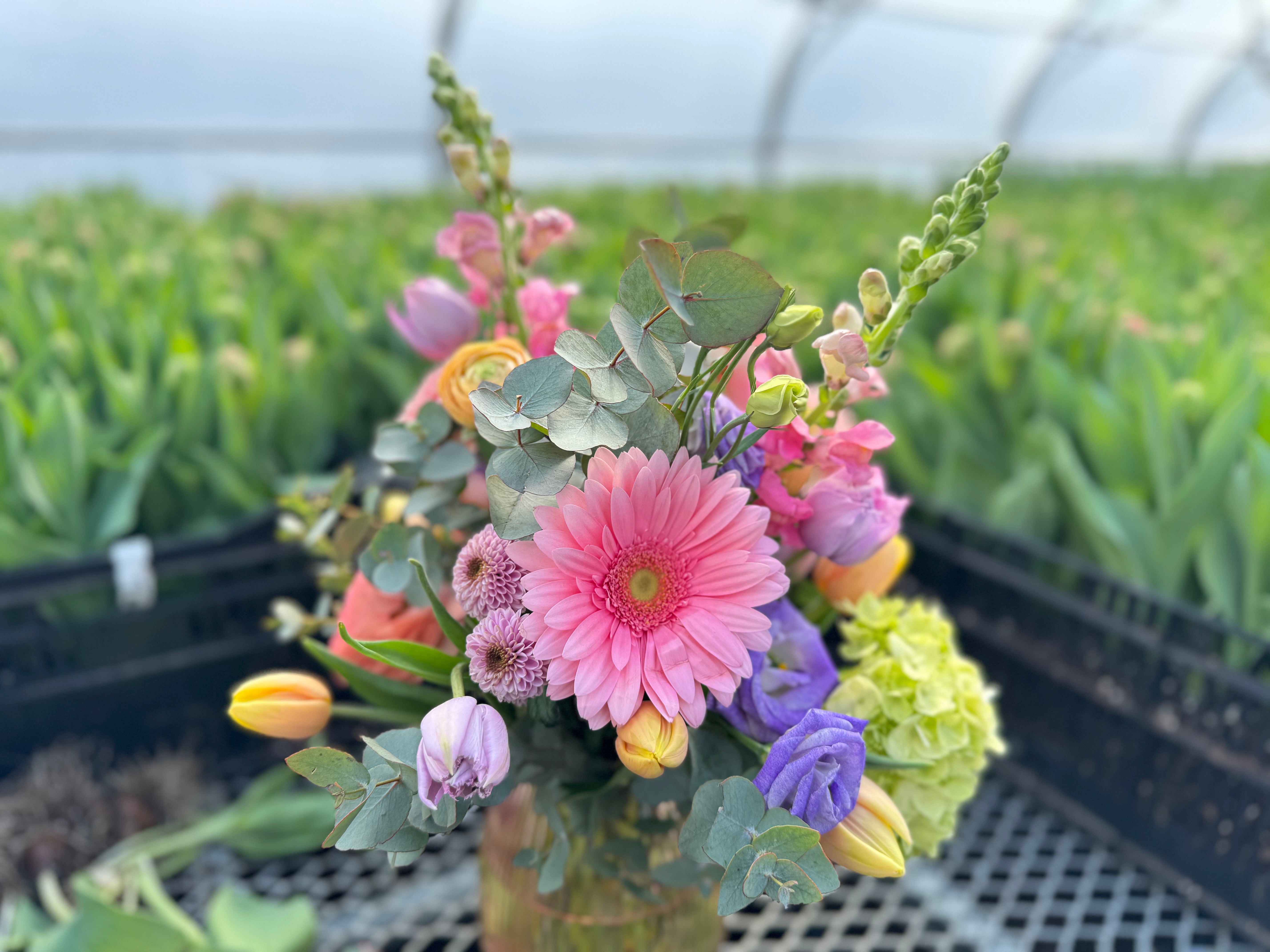Medium Vase Arrangement