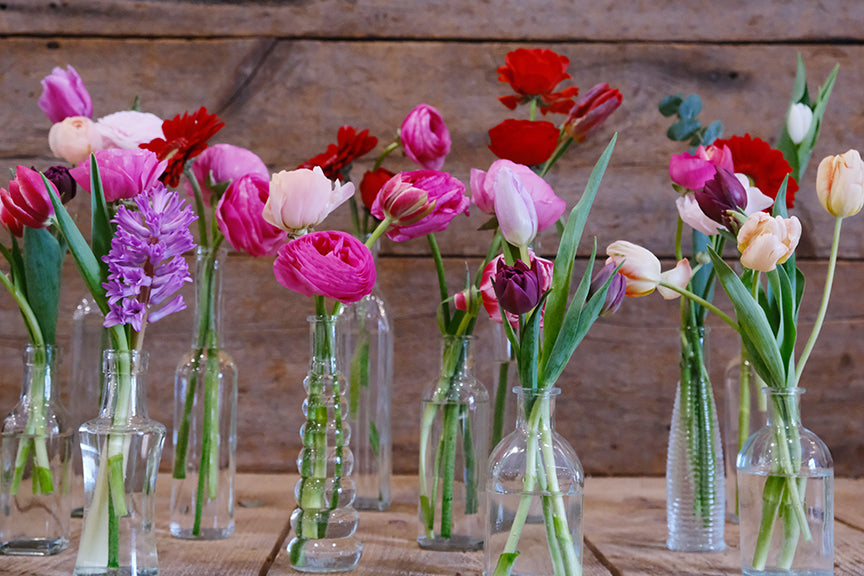 Bud Vase Collections