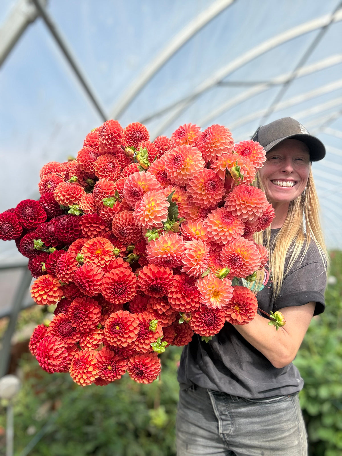 Cornel Bronze Dahlia Tuber - *Not Sold Out* SALE COMING IN MARCH OF 2027