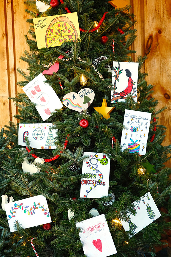 Sponsor a plant for a resident in Long Term Care: Our Community Christmas Gifting Program