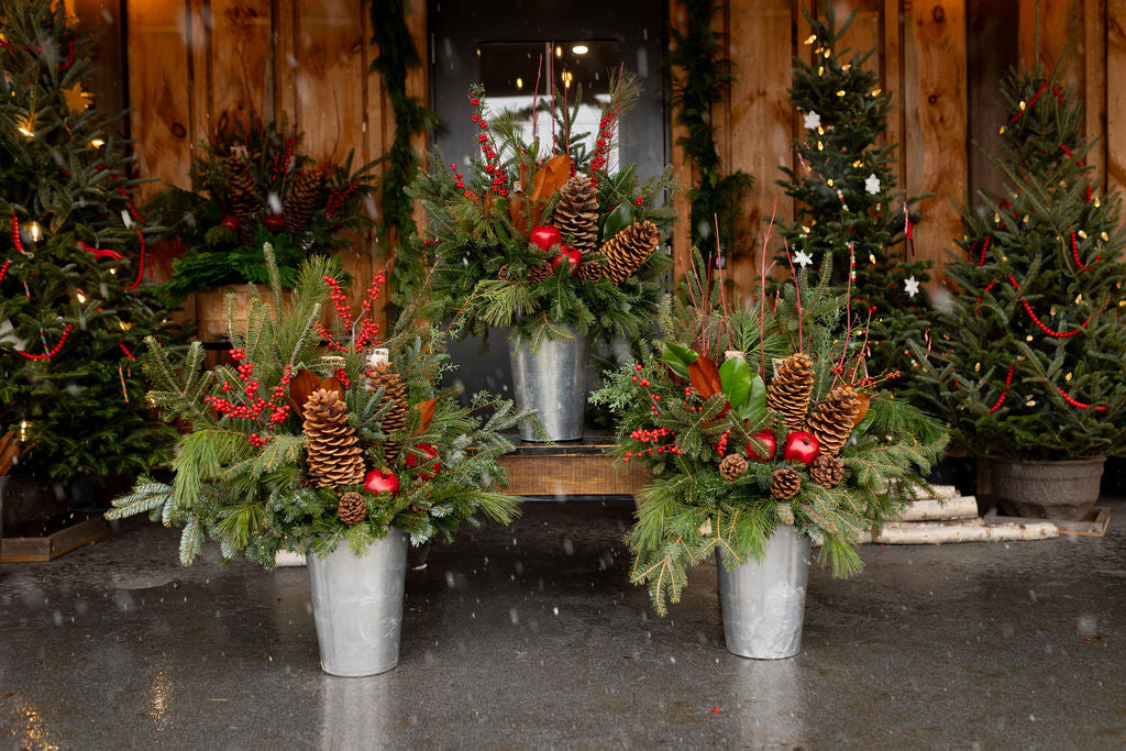 Winter Planter PREORDERS