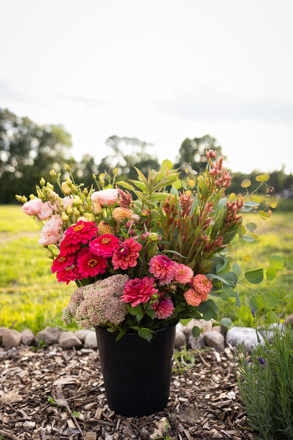 Bulk DIY Bucket of Blooms: Growers Choice Colour Palette