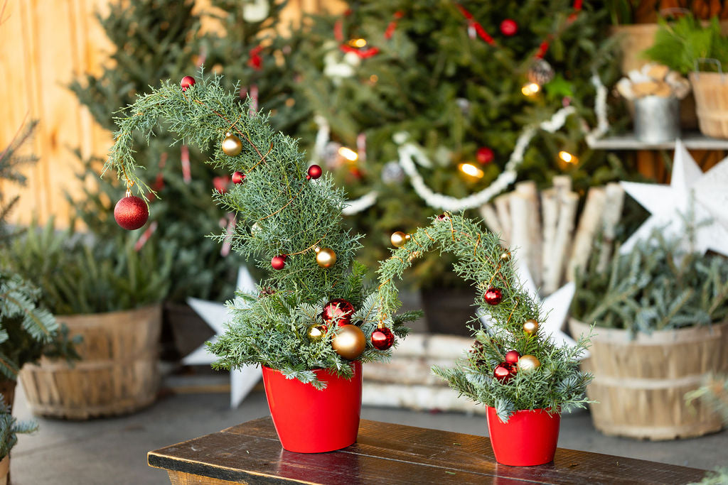 Make Your Own Grinch Tree, Adult + Child Workshop