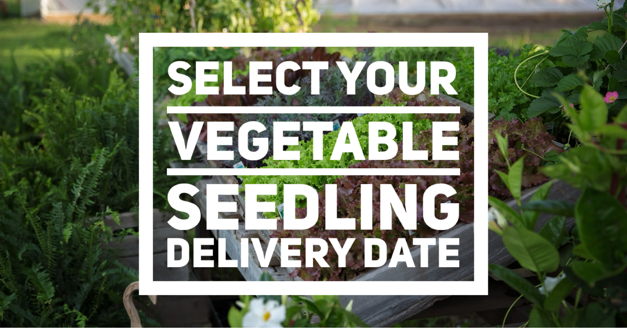 Select Delivery Date for Vegetables and Herbs *Delivery fee will be calculated at check out*