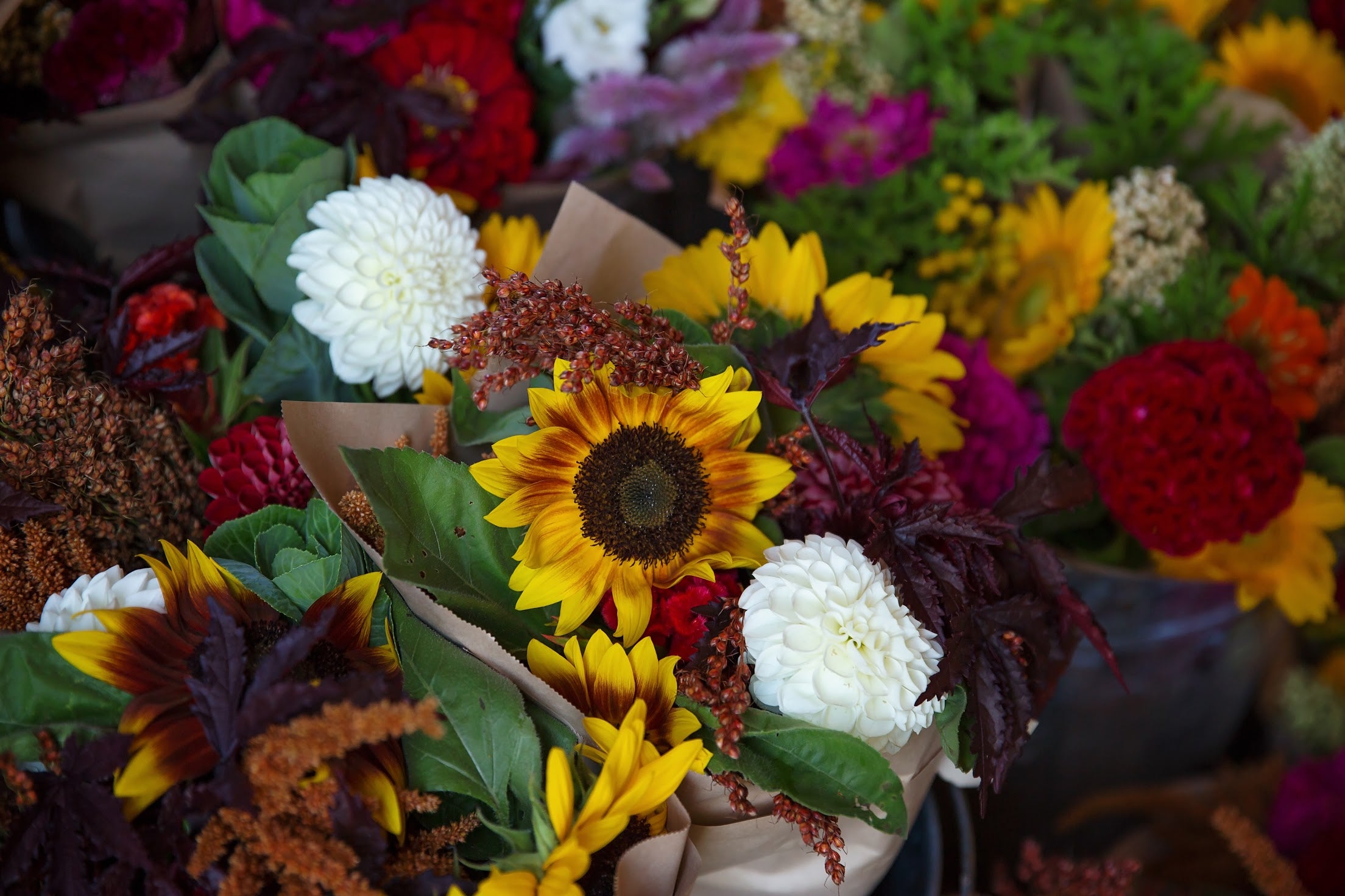 August Bouquet Subscription - 2025