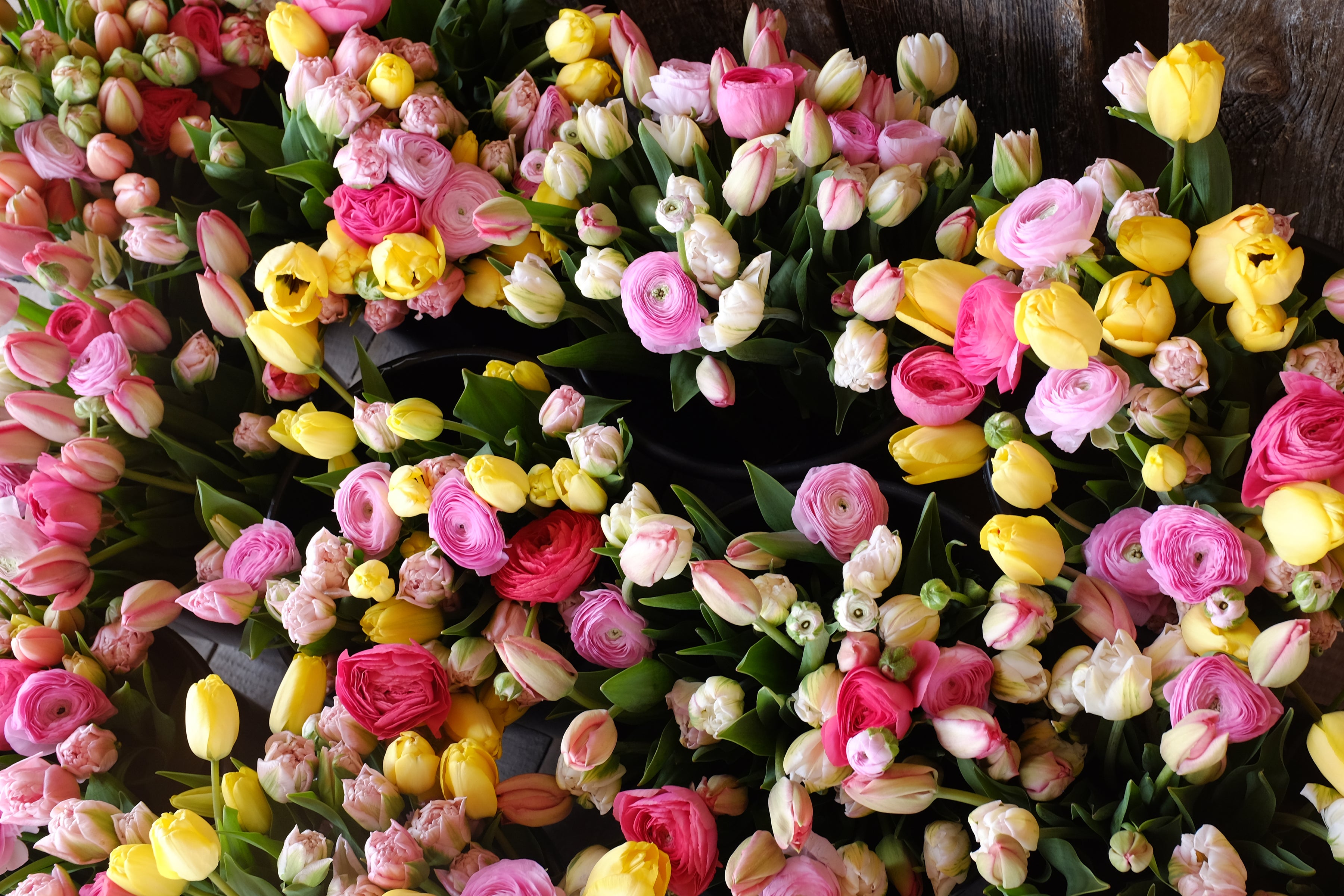 April Bouquet Subscription - 2024