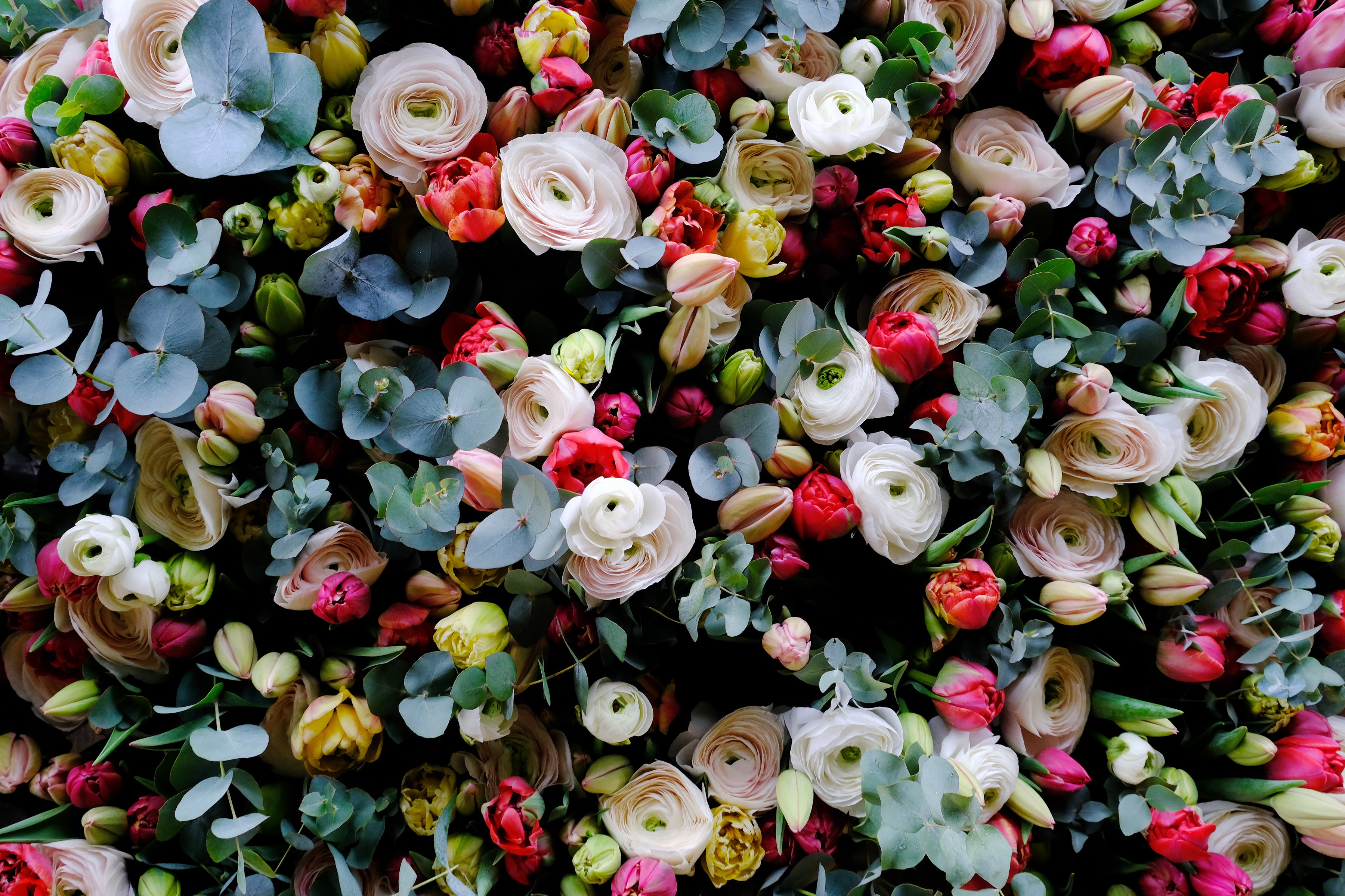6 Month Flower Subscription: January-June, 2024