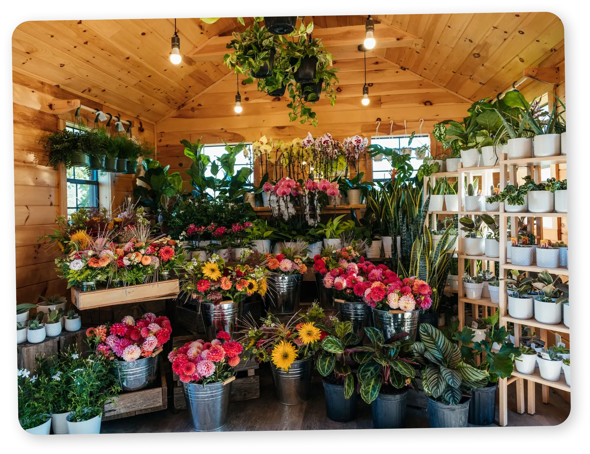 Flowers merchandises inside of farmstand